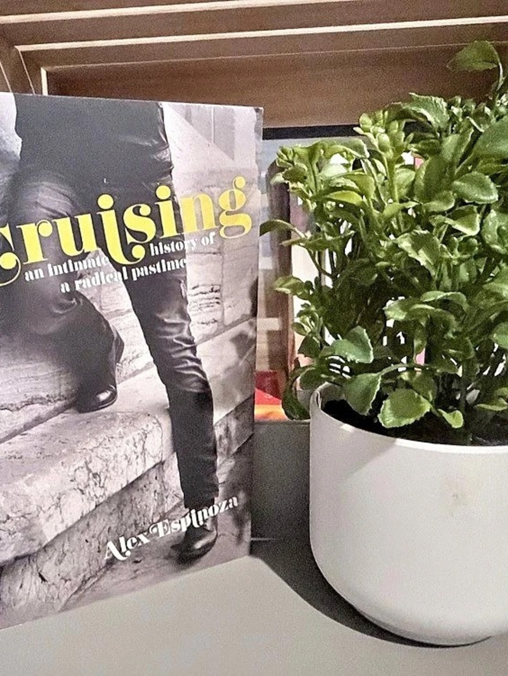 Cruising: An Intimate History of a Radical Pastime